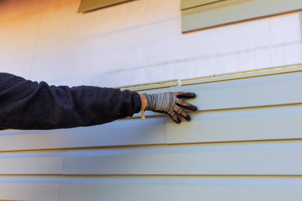 Best Storm Damage Siding Repair  in Hohenwald, TN